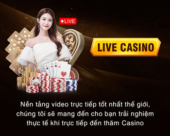 Đá gà Thomo trực tiếp tại 8k bet