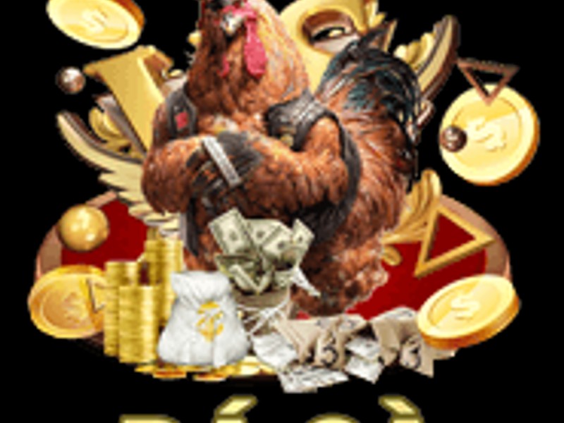 Đá Gà Trực Tiếp tại 8k Bet