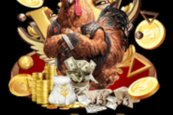 Cá cược BDD tại 8k Bet