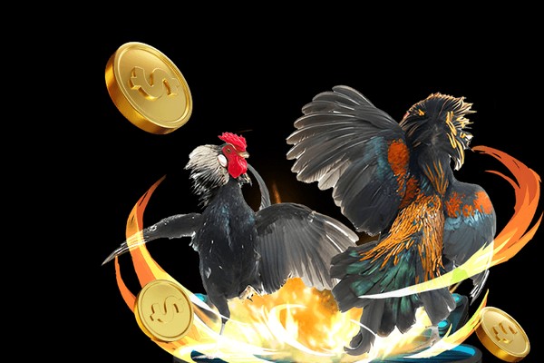 Cá cược Wala tại 8k Bet