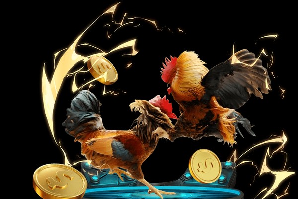 Cá cược Meron tại 8k Bet