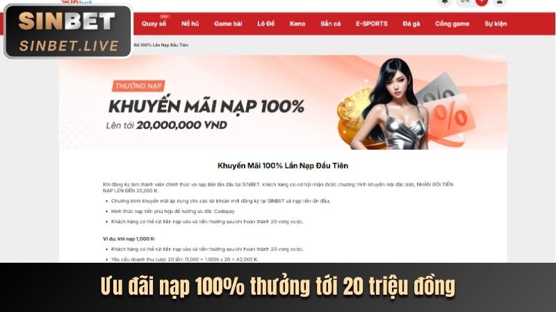 Hoàn trả hàng ngày bắn cá 8k bet